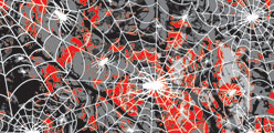 P3983 Spider Web Coming Soon... (Click for larger picture)