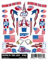 P462 Born in the USA (4