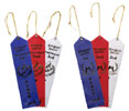 SR439 Winner Ribbons SailBoat Racer® SailBoat Racer® Promoter's Accessories (Click for larger picture)
