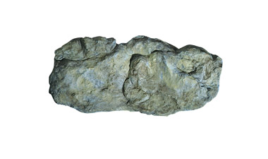 C1242