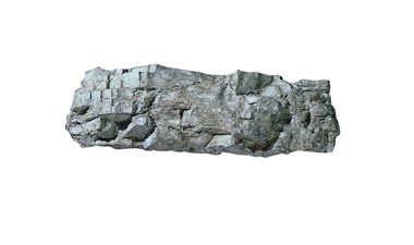 C1244