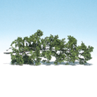 Fine-Leaf Foliage<sup>™</sup>