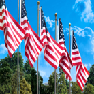 Flags
